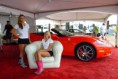 /album/auto-show/galeria-blofield-sedacky-4-jpg2/